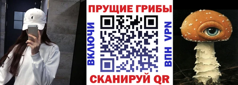 сколько стоит  Балтийск  hydra ссылки  Галлюциногенные грибы ЛСД 