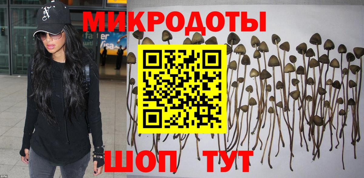 Псилоцибиновые грибы ЛСД  Галлюциногенные грибы Psilocybine cubensis  Балтийск  Вход с VPN 