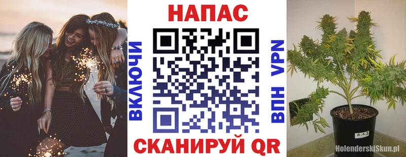 где найти   МЕГА ONION  Канабис OG Kush  Балтийск 