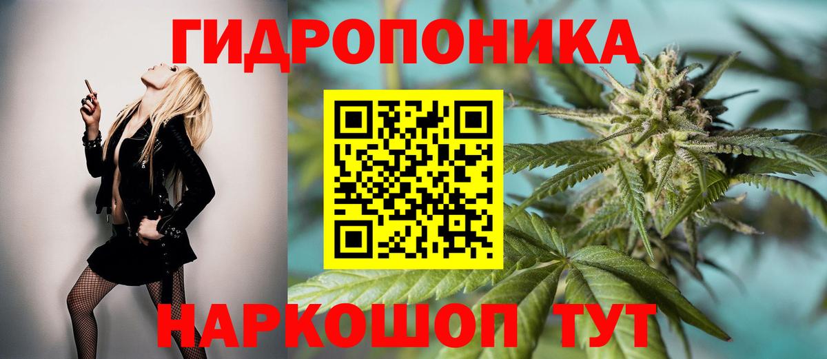 Конопля семена Балтийск